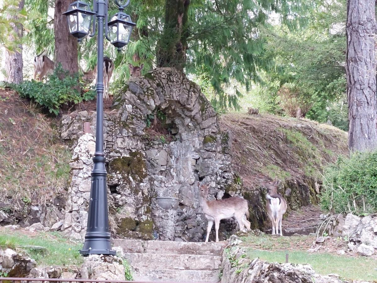 Villa Ghiron Torriglia Exterior photo