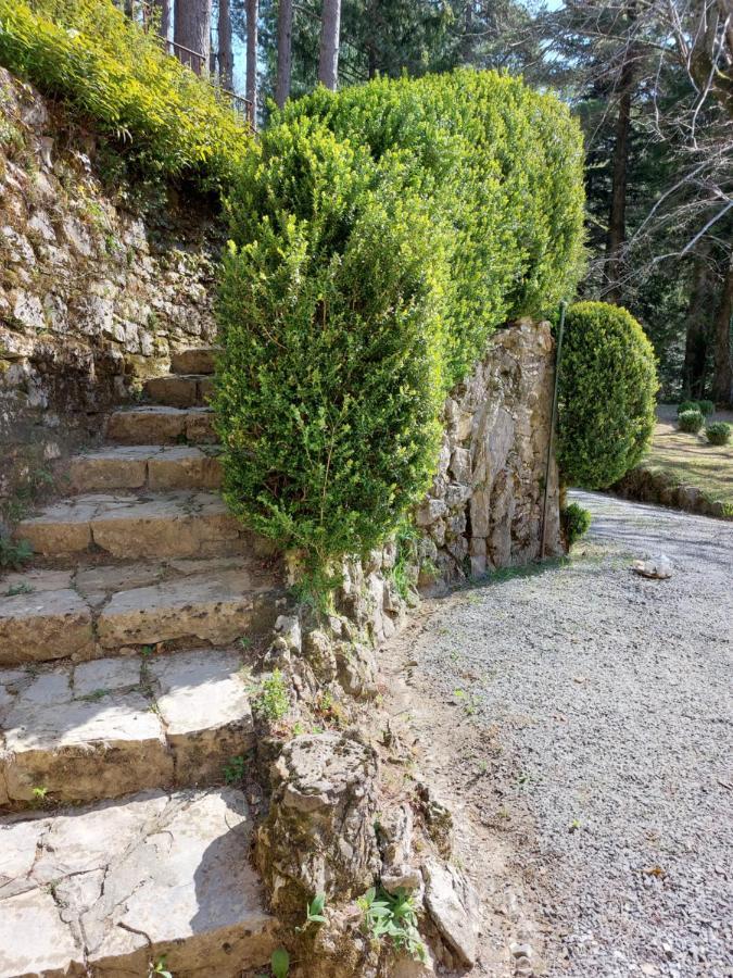 Villa Ghiron Torriglia Exterior photo